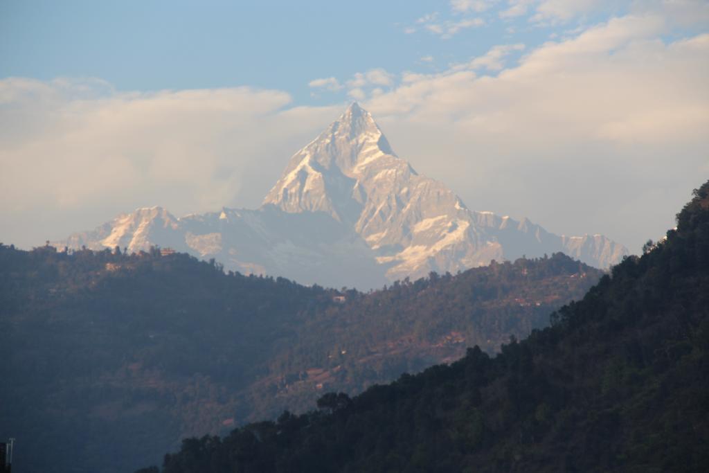 Harvest Moon Guest House Pokhara Exterior photo